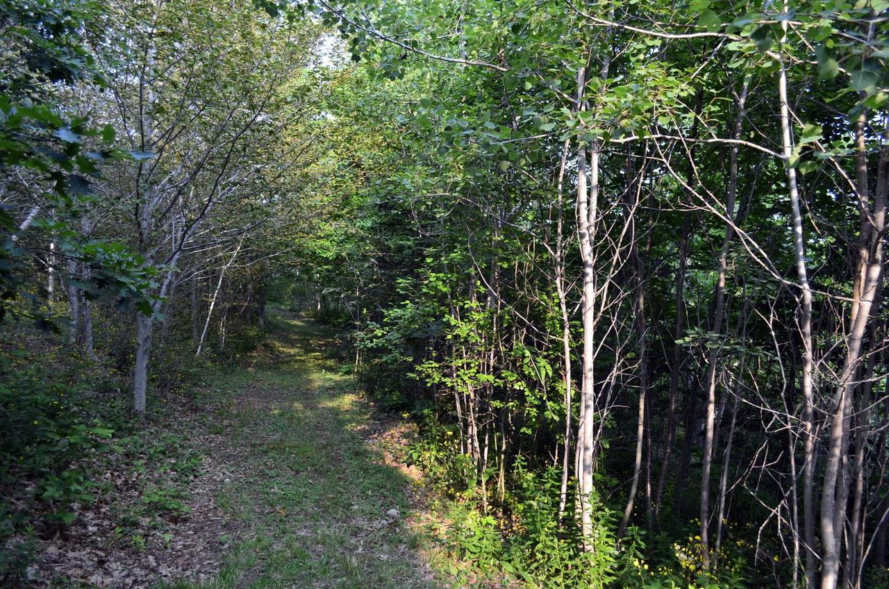 Still Point Lodge Deep Brook Екстериор снимка