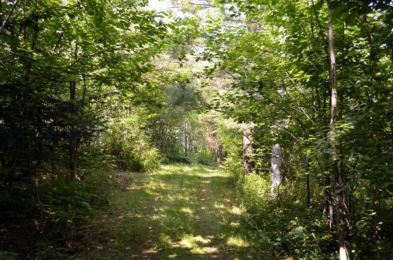 Still Point Lodge Deep Brook Екстериор снимка