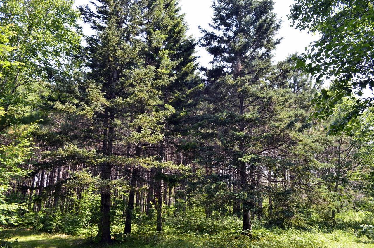 Still Point Lodge Deep Brook Екстериор снимка