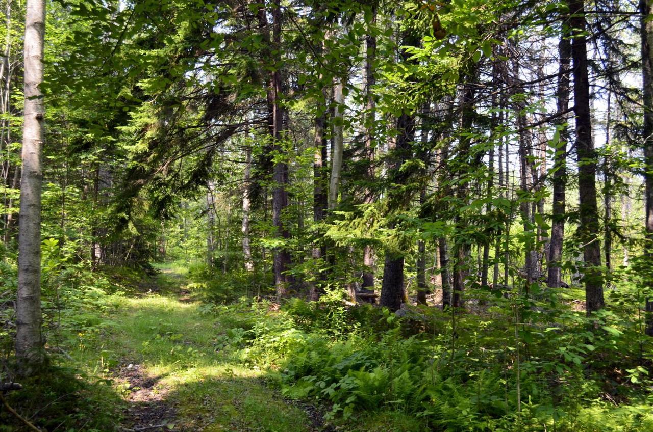 Still Point Lodge Deep Brook Екстериор снимка