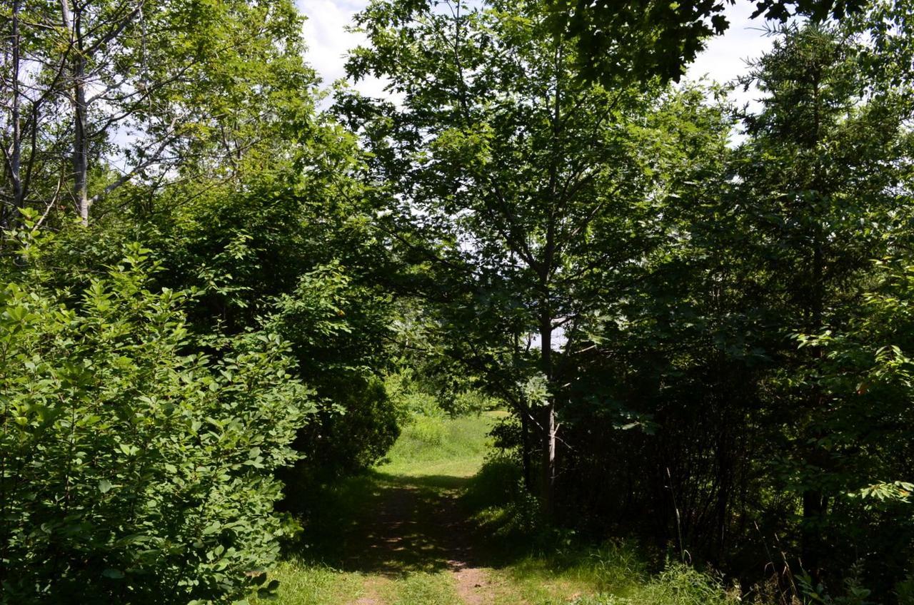 Still Point Lodge Deep Brook Екстериор снимка
