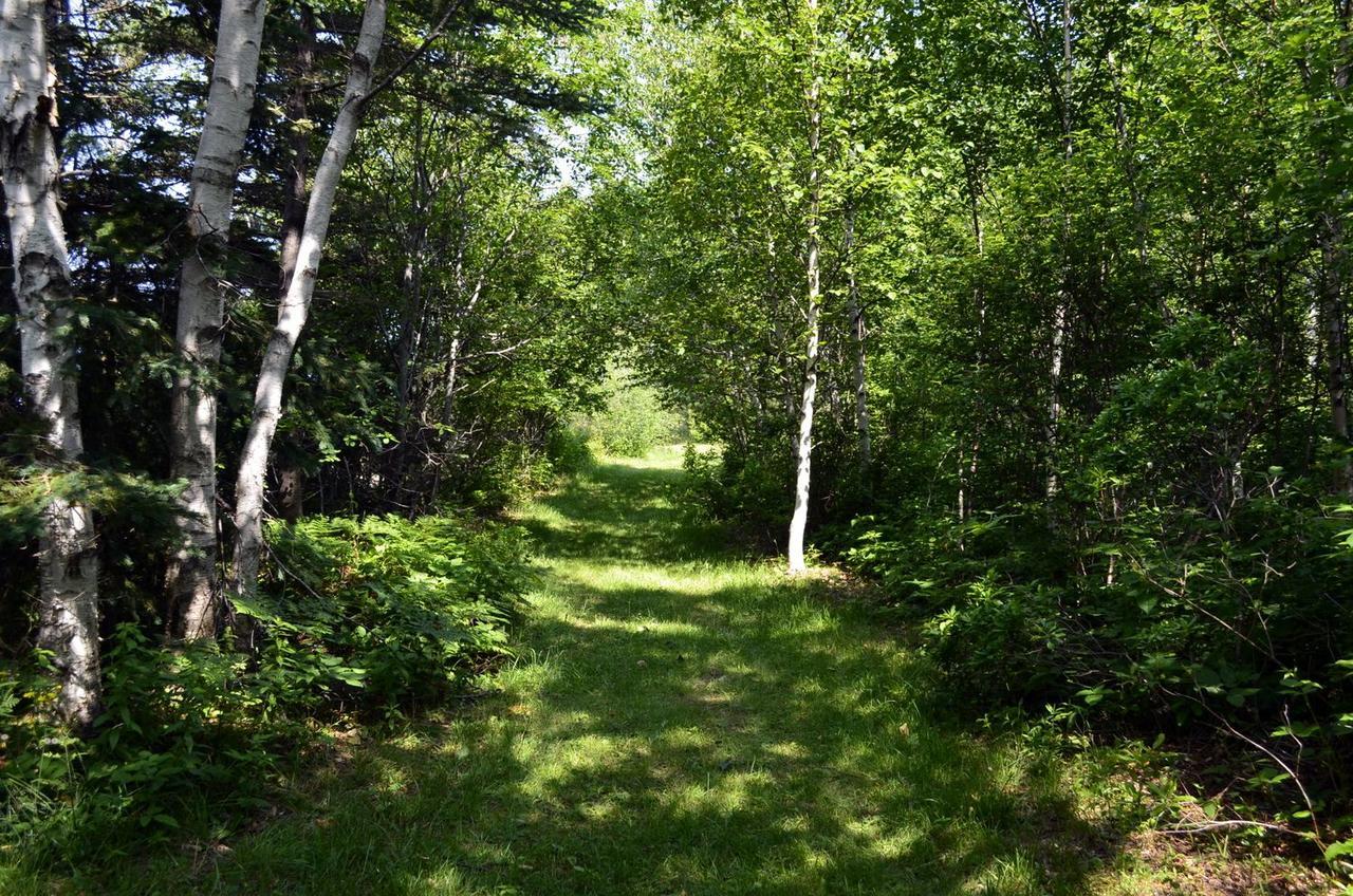 Still Point Lodge Deep Brook Екстериор снимка
