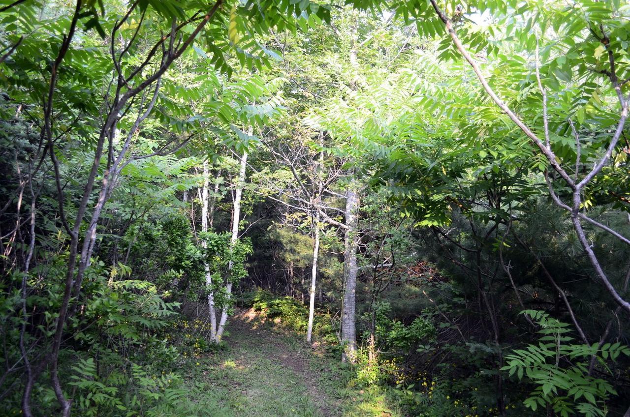Still Point Lodge Deep Brook Екстериор снимка
