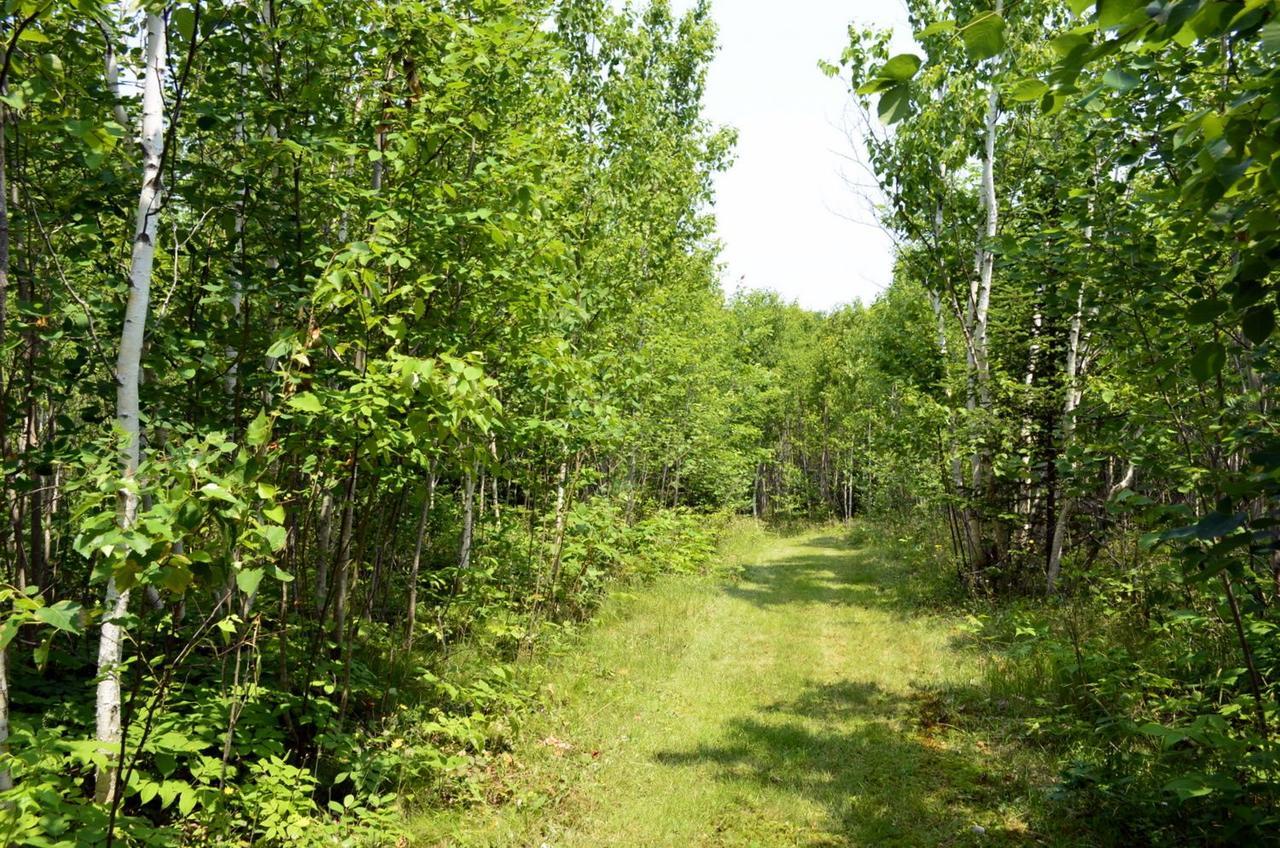 Still Point Lodge Deep Brook Екстериор снимка