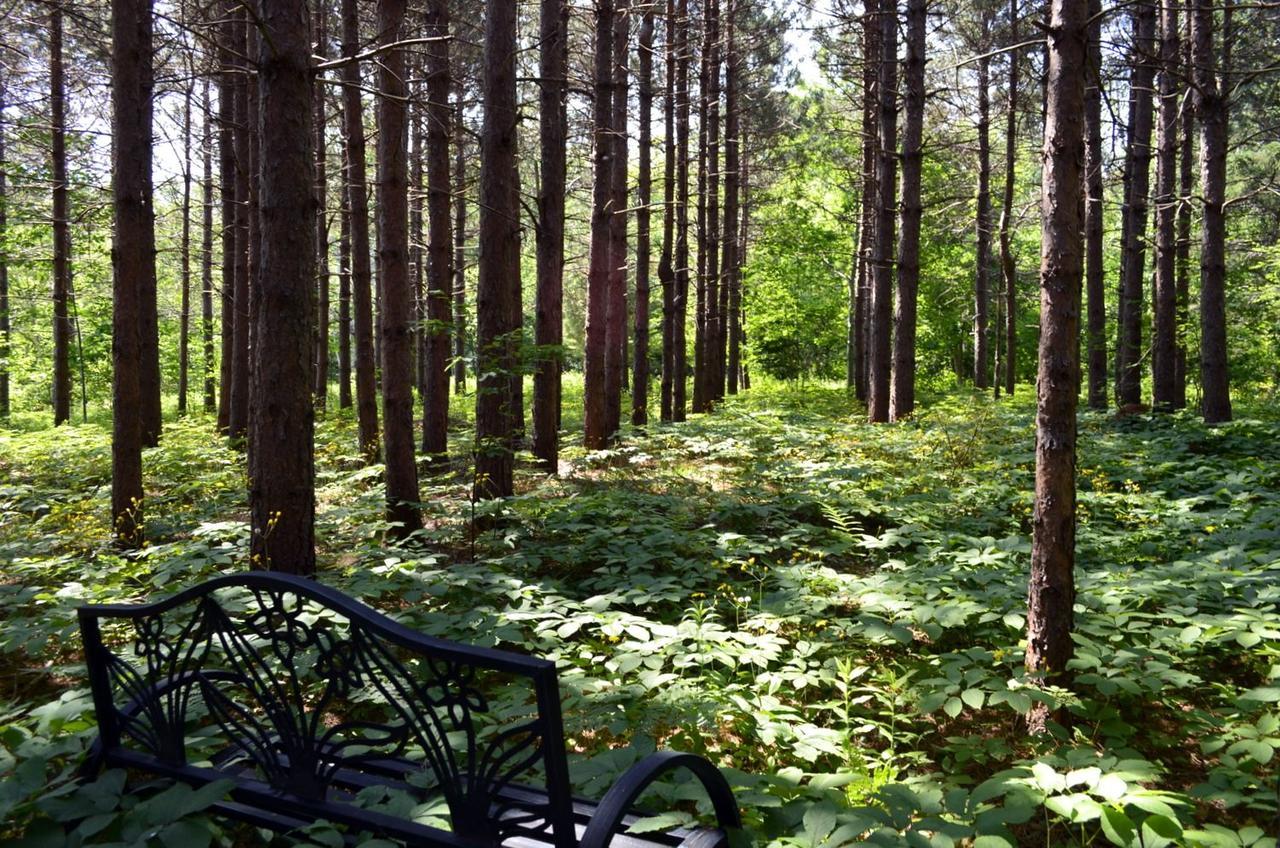 Still Point Lodge Deep Brook Екстериор снимка