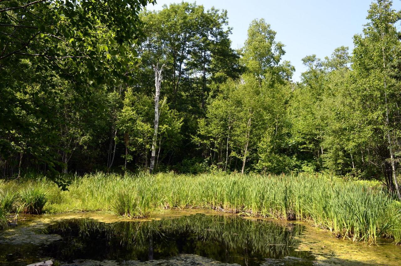 Still Point Lodge Deep Brook Екстериор снимка