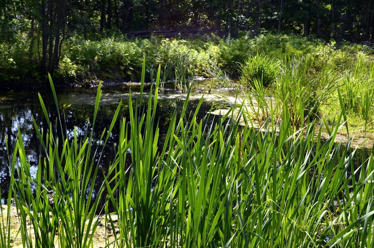 Still Point Lodge Deep Brook Екстериор снимка